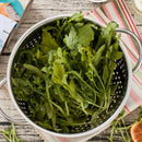 COM OFERTA Escorredor De Macarrão Inox Com alça Multiuso Universal 24 ou 28 Cm